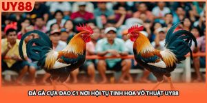 Đá Gà Cựa Dao C1 Nơi Hội Tụ Tinh Hoa Võ Thuật UY88