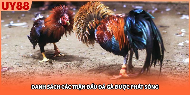 Danh sách các trận đấu đá gà được phát sóng