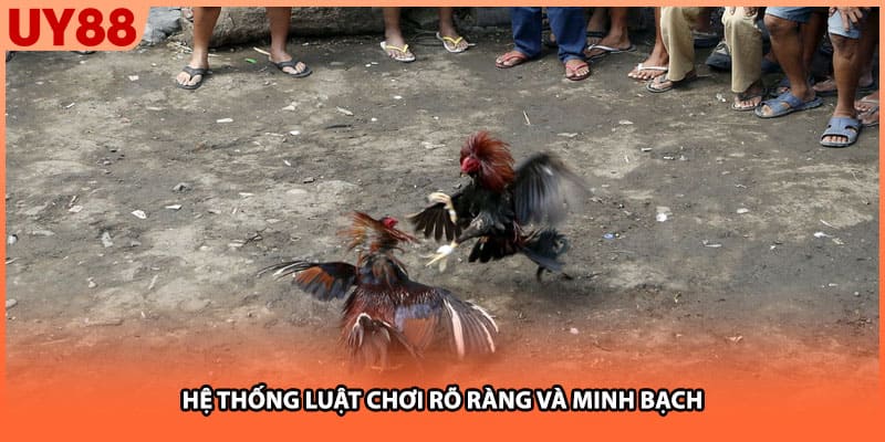 Hệ thống luật chơi rõ ràng và minh bạch