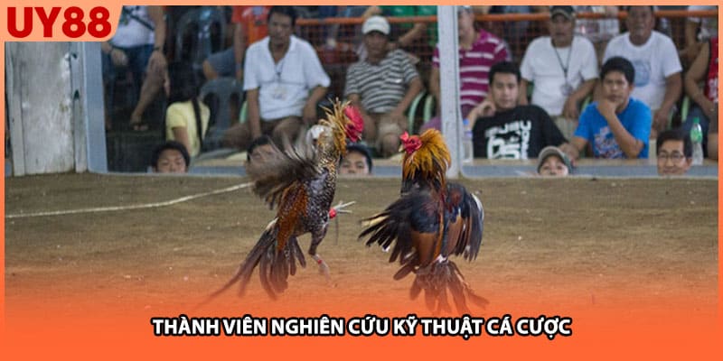 Thành viên nghiên cứu kỹ thuật cá cược